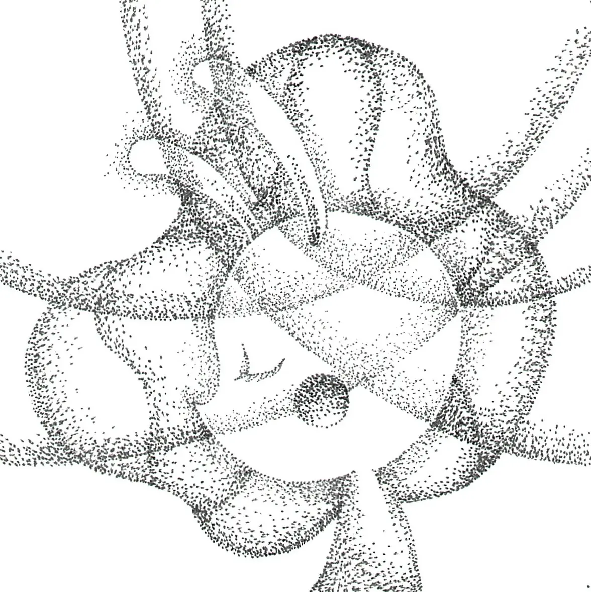 作品1