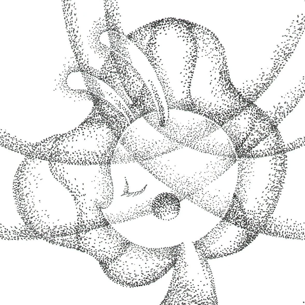目を閉じて祈る、横顔のうさぎを描いたモノクロの点描